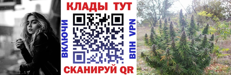 Магазины продажи наркотиков Луга KRAKEN ТОР Галлюциногенные грибы Бутират Меф мяу мяу ГАШИШ Марихуана