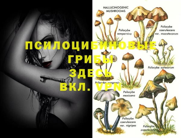 прущая мука Новозыбков