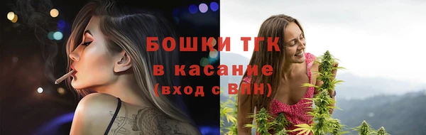 твердый Тында