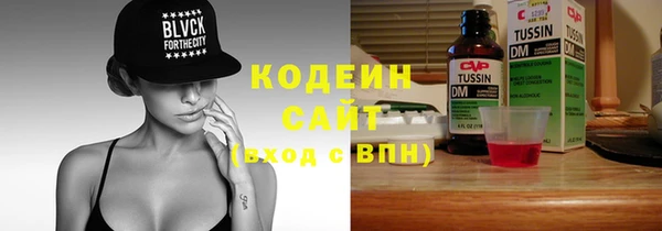 молекула духа Туринск