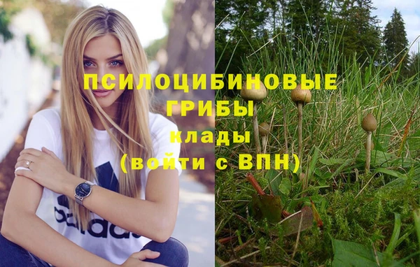 MESCALINE Новодвинск