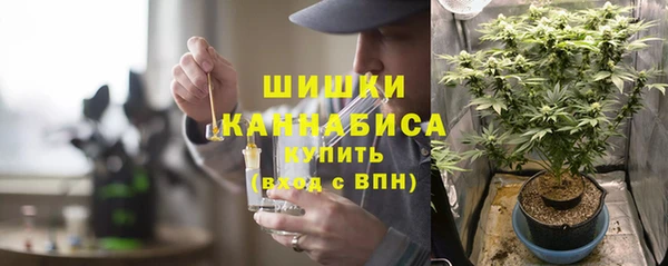 ПСИЛОЦИБИНОВЫЕ ГРИБЫ Новокубанск