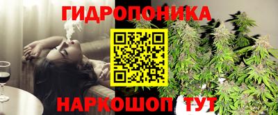 гашик Заводоуковск