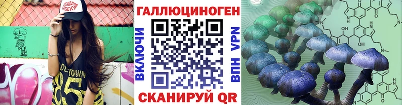 Галлюциногенные грибы Psilocybine cubensis  купить закладку  Луга 