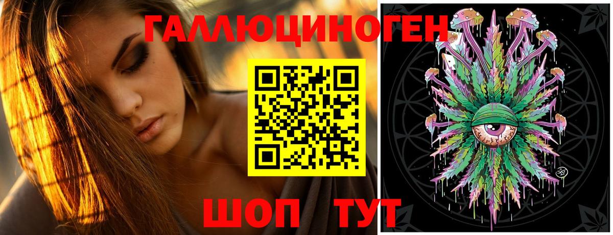 Псилоцибиновые грибы Cubensis  Луга 