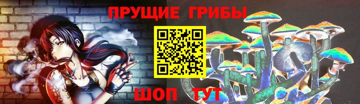 Луга  Псилоцибиновые грибы Psilocybe  Псилоцибиновые грибы ЛСД  Вход с VPN 
